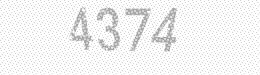 Visual security code — type the characters shown in the image