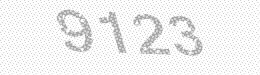 Visual security code — type the characters shown in the image